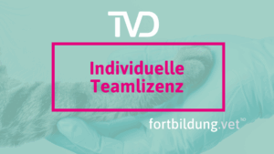 Individuelle Teamlizenz