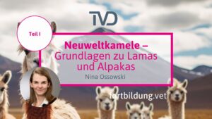 Neuweltkamele Teil I