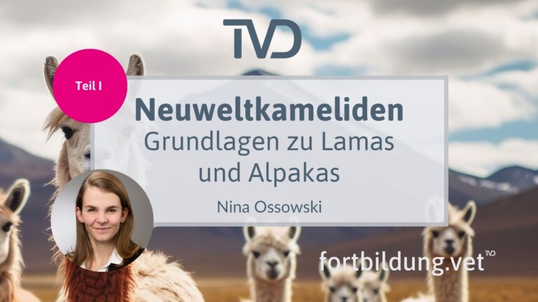 fortbildung.vet Titelbild