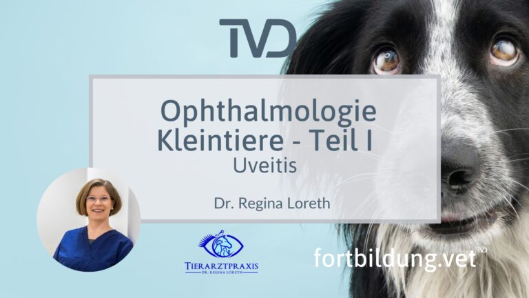fortbildung.vet Titelbild
