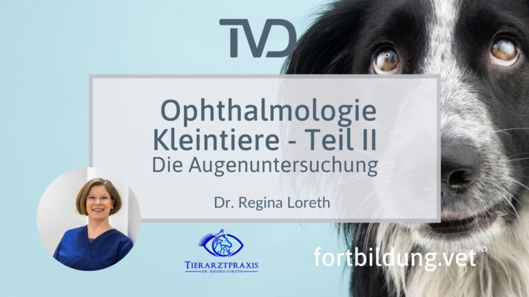 fortbildung.vet Titelbild
