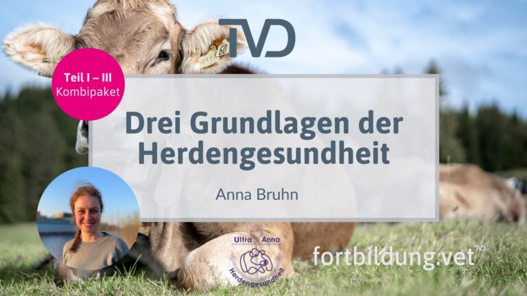 fortbildung.vet Titelbild