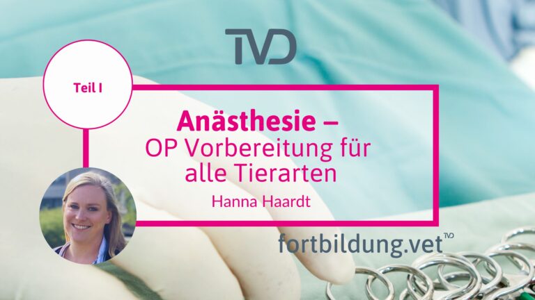 fortbildung.vet Titelbild