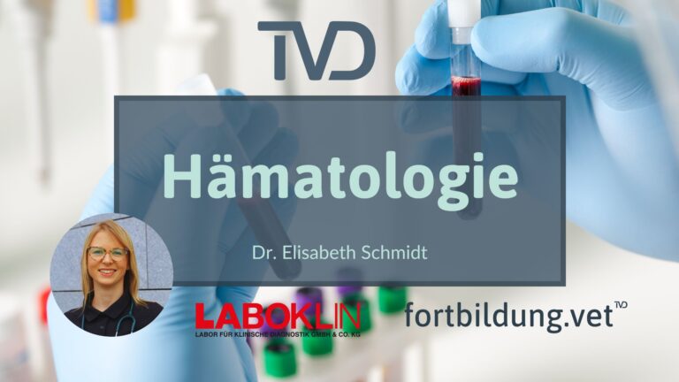 fortbildung.vet Titelbild