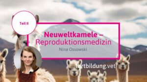 Neuweltkamele Teil II