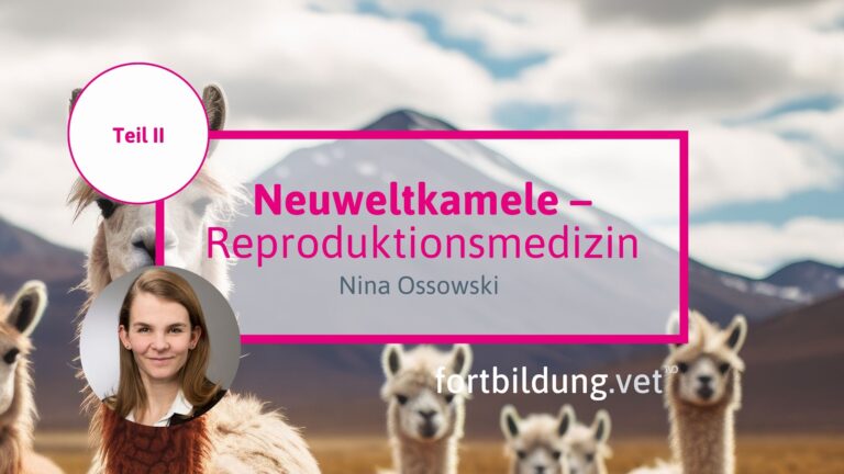 fortbildung.vet Titelbild