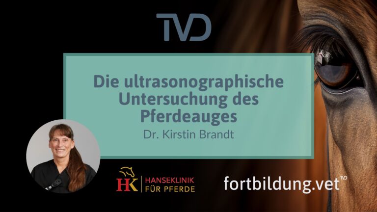 fortbildung.vet Titelbild