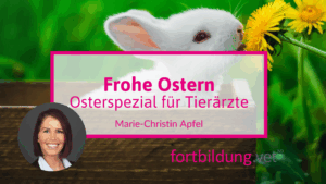 Frohe Ostern: Vögel & Exoten