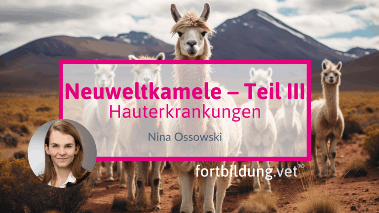 fortbildung.vet Titelbild