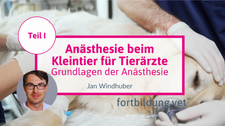 fortbildung.vet Titelbild