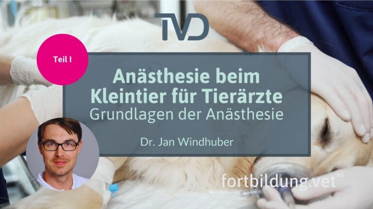fortbildung.vet Titelbild