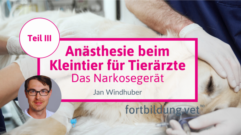 fortbildung.vet Titelbild