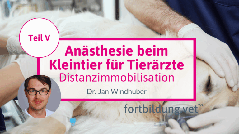 fortbildung.vet Titelbild