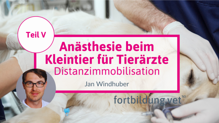 fortbildung.vet Titelbild