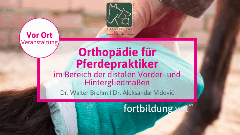 fortbildung.vet Titelbild