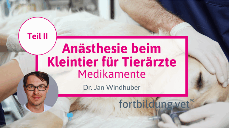 fortbildung.vet Titelbild