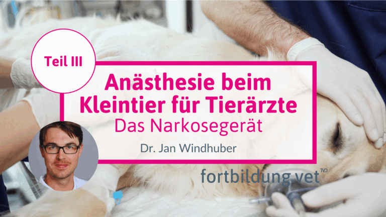 fortbildung.vet Titelbild