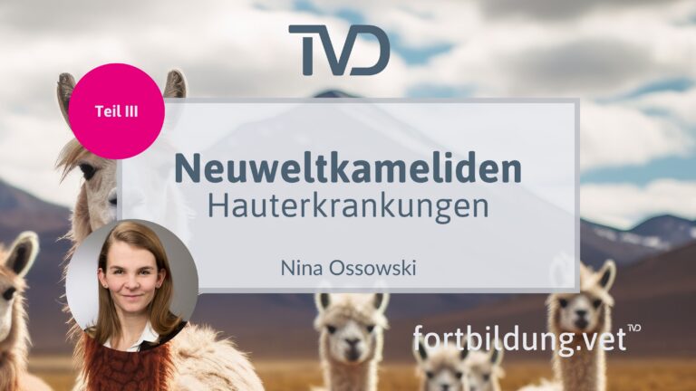 fortbildung.vet Titelbild