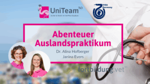 Abenteuer Auslandspraktikum 2025