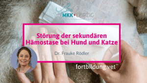 Störung der sekundären Hämostase bei Hund und Katze