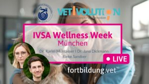 IVSA Wellness Week