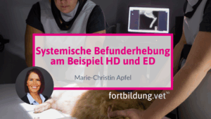 Systemische Befunderhebung am Beispiel HD und ED
