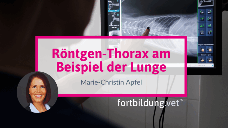 fortbildung.vet Titelbild