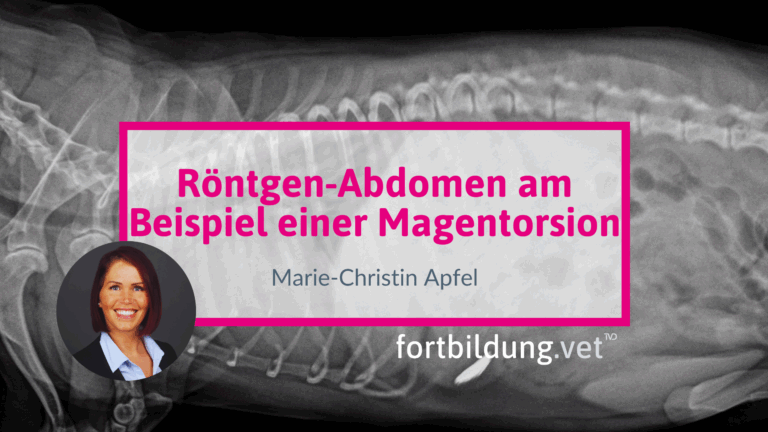 fortbildung.vet Titelbild