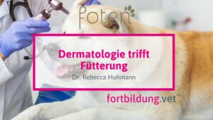 Dermatologie trifft Fütterung
