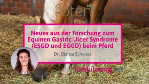 Neues aus der Forschung zum Equinen Gastric Ulcer Syndrome (ESGD und EGGD) beim Pferd