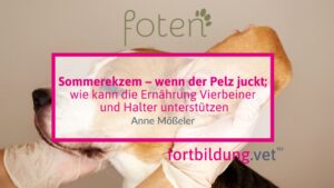 Sommerekzem – wenn der Pelz juckt