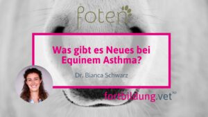 Was gibt es Neues bei Equinem Asthma?