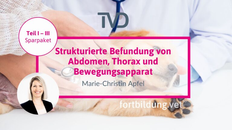 fortbildung.vet Titelbild