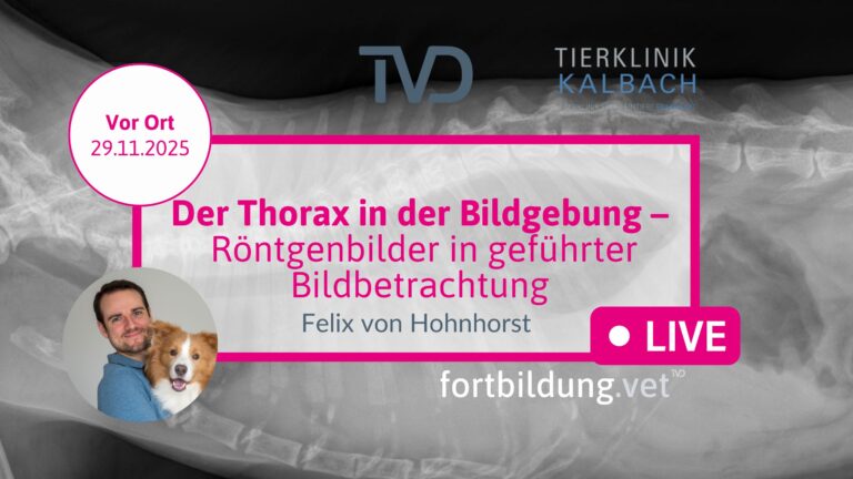 fortbildung.vet Titelbild