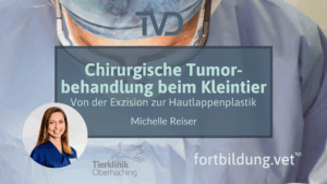 Chirurgische Tumorbehandlung beim Kleintier