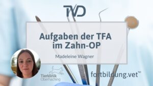 Aufgaben der TFA im Zahn-OP