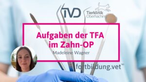 Aufgaben der TFA im Zahn-OP