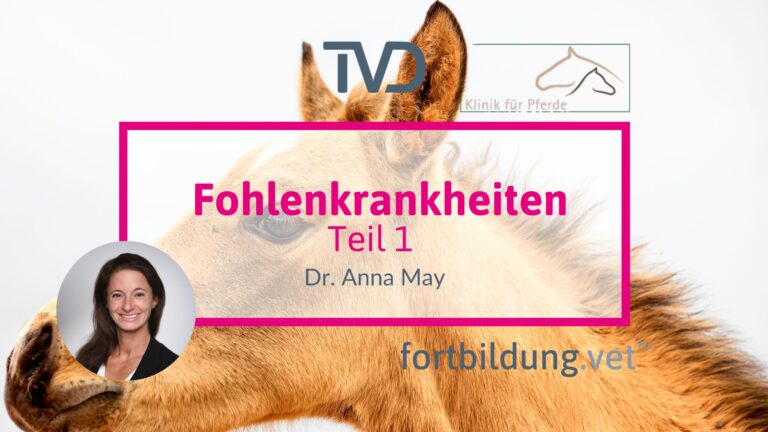 fortbildung.vet Titelbild