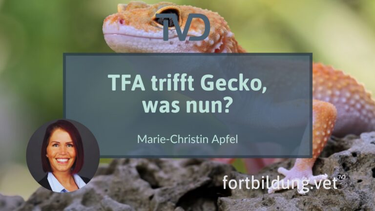 fortbildung.vet Titelbild