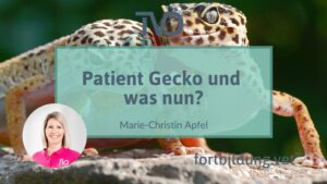 24287_thumb_neu
