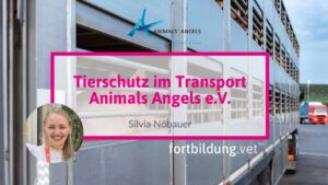 Tierschutz im Transport
