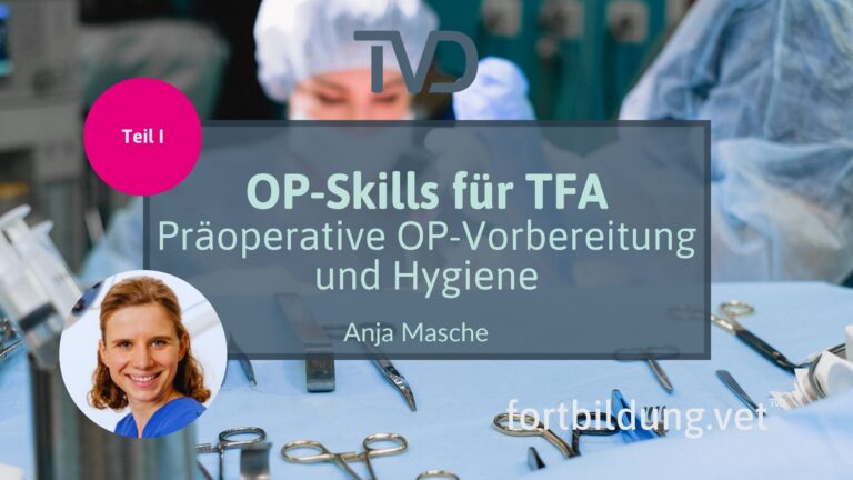 fortbildung.vet Titelbild