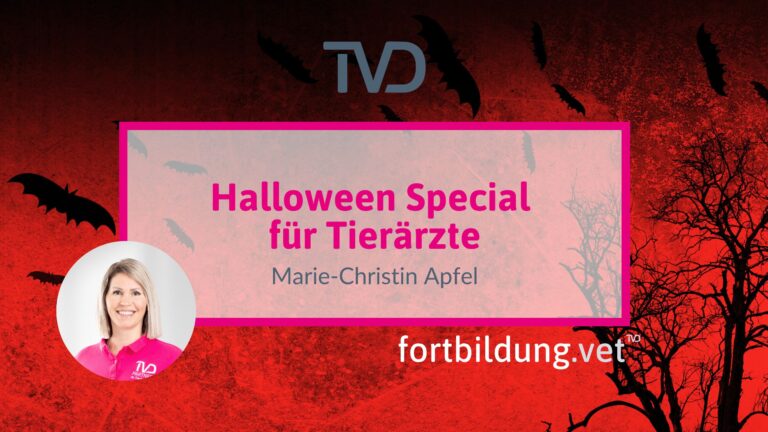 fortbildung.vet Titelbild