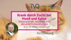 Krank durch Zucht bei Hund und Katze