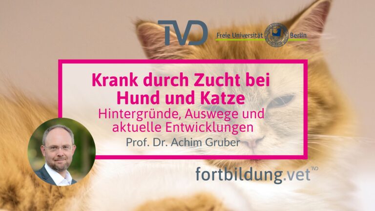 fortbildung.vet Titelbild