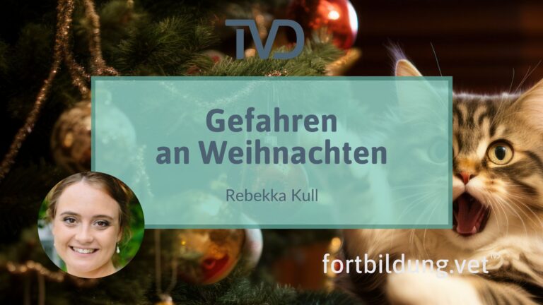 fortbildung.vet Titelbild