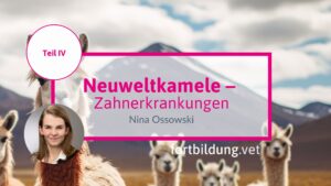 Neuweltkamele Teil IV