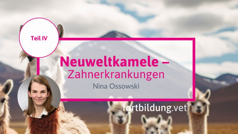 fortbildung.vet Titelbild