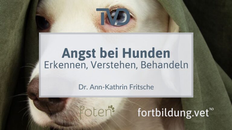fortbildung.vet Titelbild