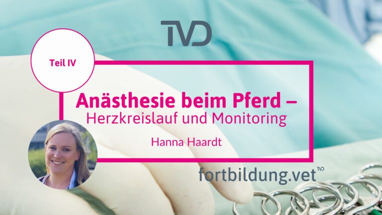 fortbildung.vet Titelbild